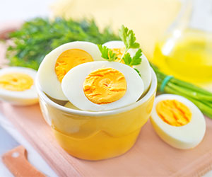 egg-yolk